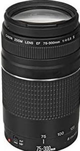
Canon EF 75-300mm