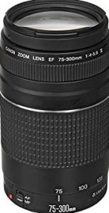 
Canon EF 75-300mm f/4-5.6 III Telephoto Zoom 